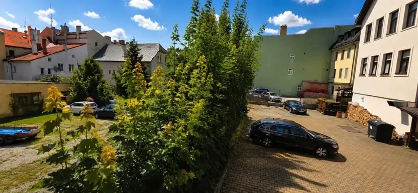 Pronájem bytu 3+1, Jihlava, Palackého, 75 m2