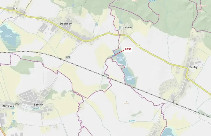 Dražba lesa, Dobříkov, 2407 m2