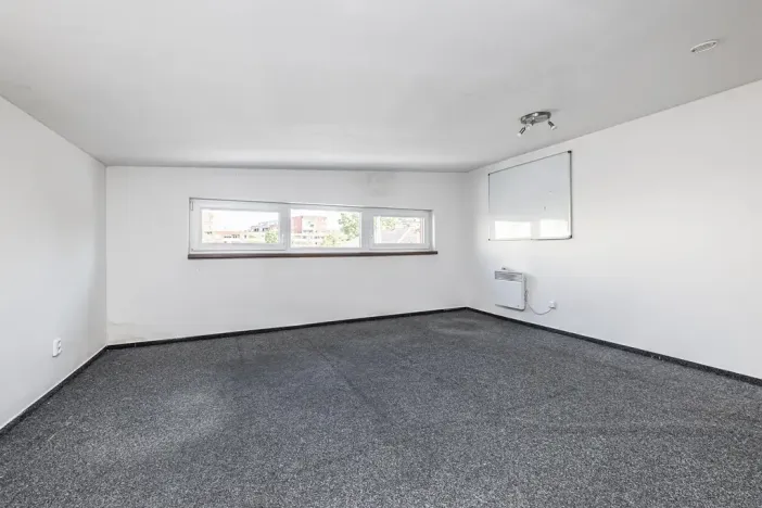 Prodej vícegeneračního domu, Mladá Boleslav, Viničná, 266 m2