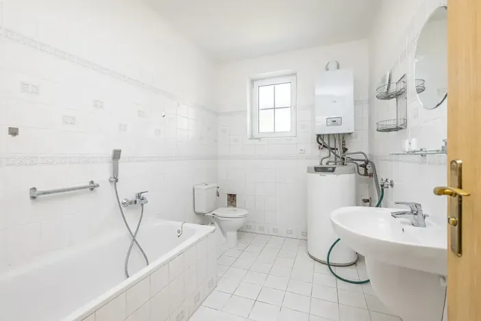Prodej vícegeneračního domu, Mladá Boleslav, Viničná, 266 m2