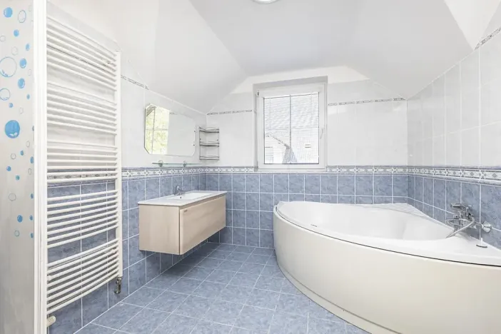 Prodej vícegeneračního domu, Mladá Boleslav, Viničná, 266 m2