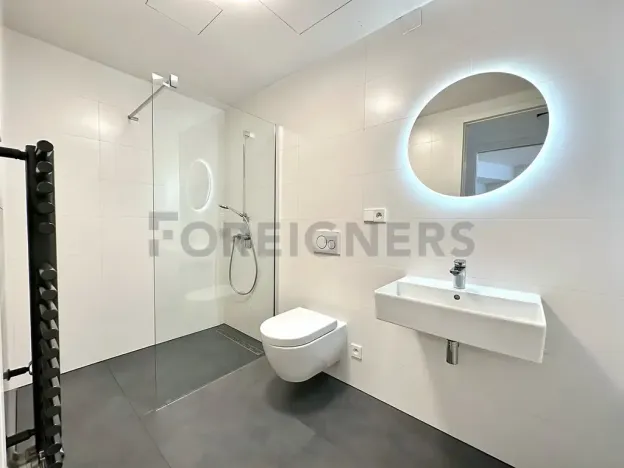 Pronájem bytu 2+kk, Praha, Holečkova, 55 m2