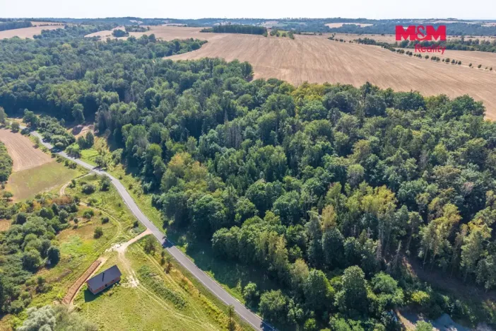Prodej lesa, Tupadly, 5004 m2