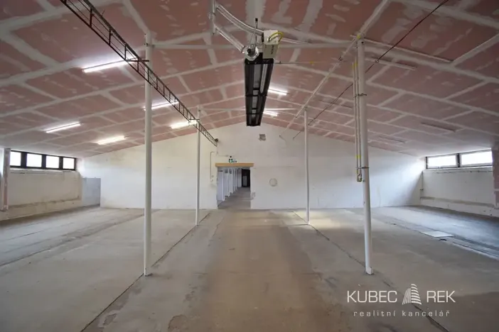 Pronájem skladu, Tábor, Pod Kozím hrádkem, 561 m2