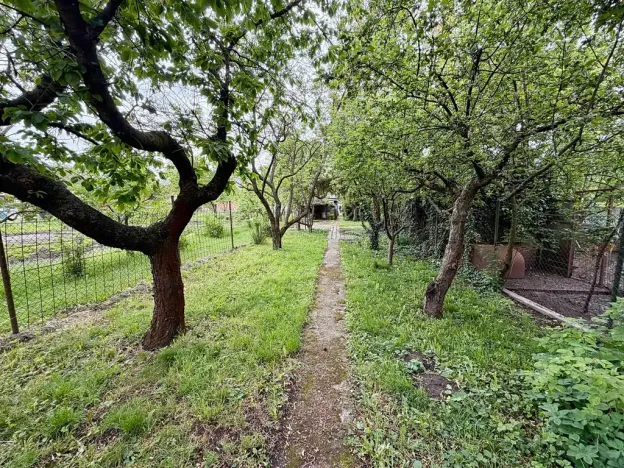 Prodej rodinného domu, Olšany u Prostějova, 230 m2