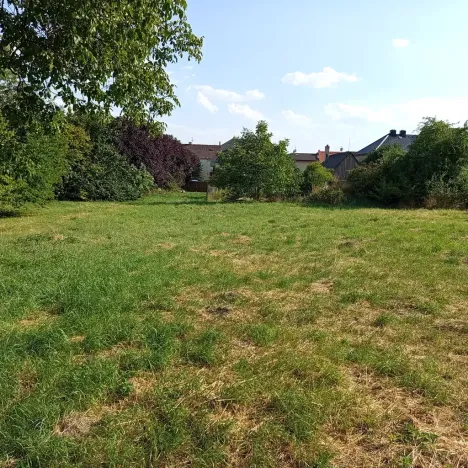 Prodej rodinného domu, Olbramice, 190 m2