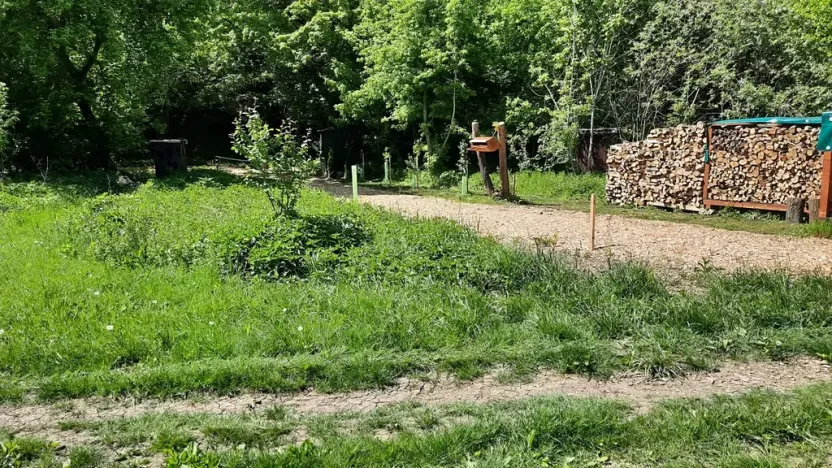 Prodej rybníku, Bulhary, 350 m2