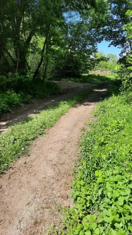 Prodej rybníku, Bulhary, 350 m2