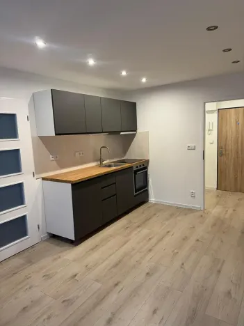 Prodej bytu 2+kk, Praha - Krč, Hurbanova, 40 m2