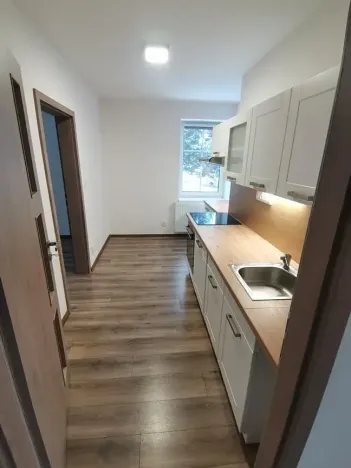 Pronájem bytu 2+1, Liberec, Na Srázu, 76 m2