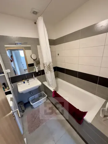 Pronájem bytu 4+kk, Dolní Břežany, K Břežanům, 124 m2