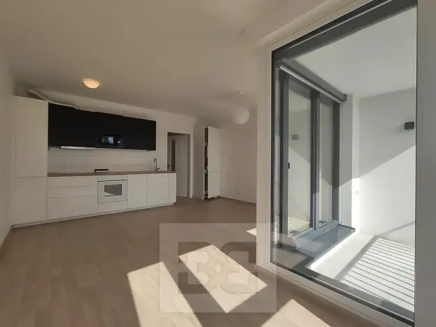 Pronájem bytu 1+kk, Praha - Žižkov, Olgy Havlové, 37 m2