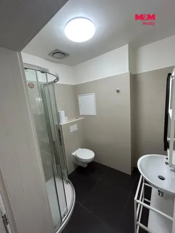 Pronájem bytu 1+1, Mariánské Lázně, Chebská, 29 m2