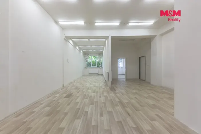Pronájem komerční nemovitosti, Zdiby - Přemyšlení, U Továrny, 175 m2