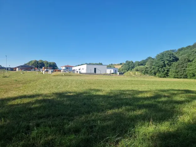 Prodej komerčního pozemku, Velká Polom, Okružní, 6038 m2