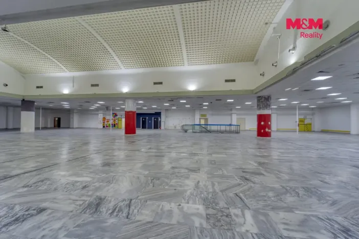 Pronájem obchodního prostoru, Plzeň - Východní Předměstí, Americká, 1603 m2