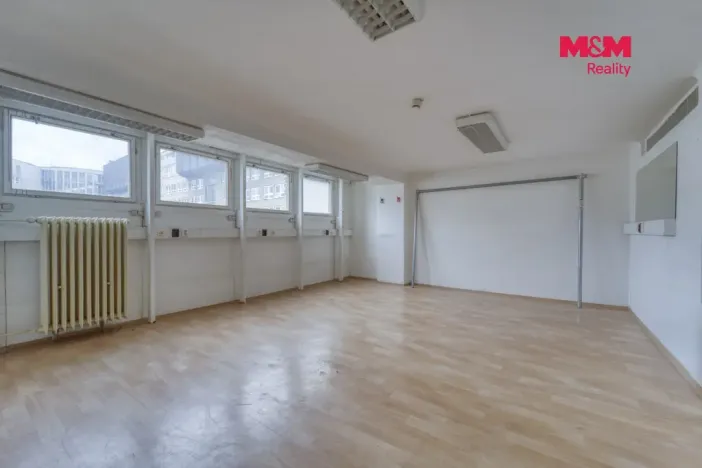 Pronájem obchodního prostoru, Plzeň - Východní Předměstí, Americká, 1603 m2