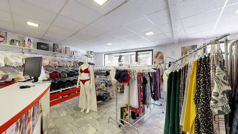 Prodej obchodního prostoru, Třebíč - Vnitřní Město, Hasskova, 400 m2