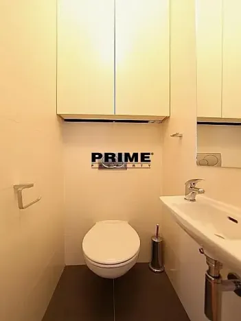 Pronájem bytu 6+kk a větší, Praha - Vinohrady, Chopinova, 204 m2