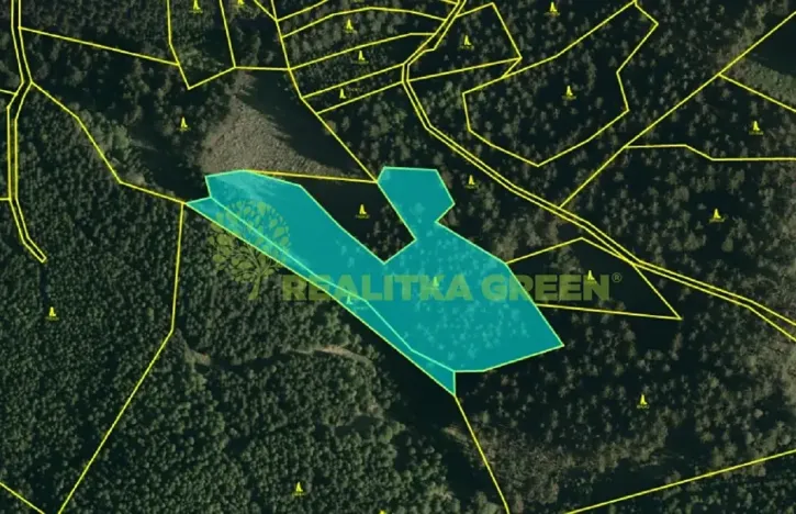 Prodej lesa, Hovězí, 9912 m2