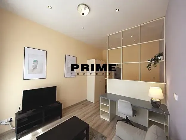 Pronájem bytu 1+1, Praha - Vinohrady, Máchova, 40 m2