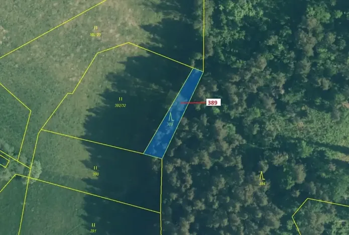 Dražba lesa, Zavlekov, 332 m2