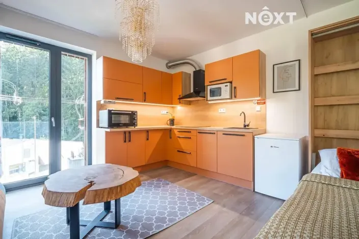 Prodej bytu 1+kk, Vrchlabí, Horská, 43 m2