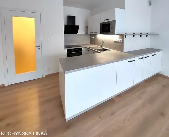 Pronájem bytu 2+kk, Brno, U Červeného mlýna, 53 m2