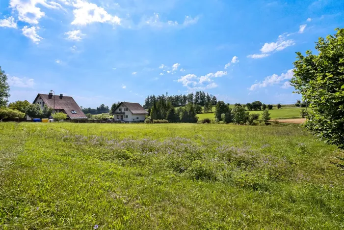 Prodej pozemku, Horní Branná - Valteřice, 3767 m2