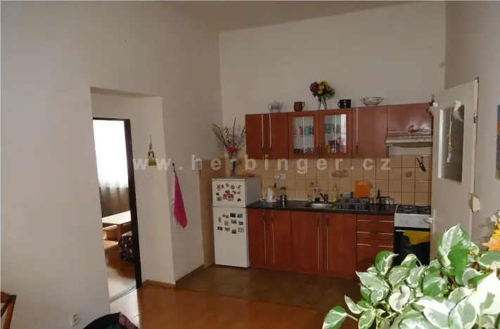 Prodej rodinného domu, Ostrava - Vítkovice, Mírová, 1391 m2