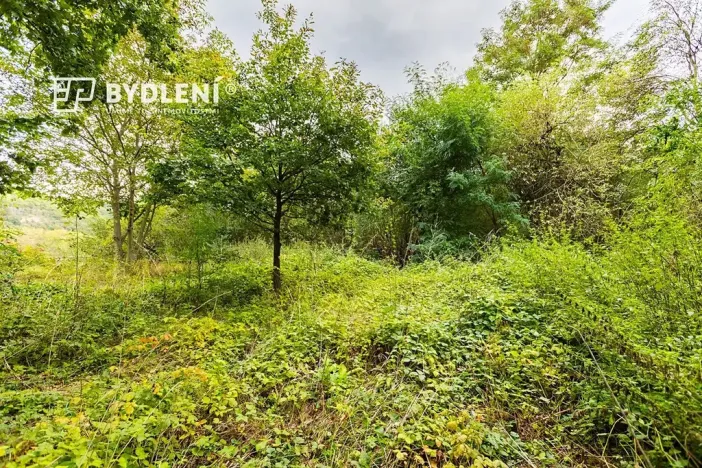 Prodej zahrady, Malé Žernoseky, 1568 m2