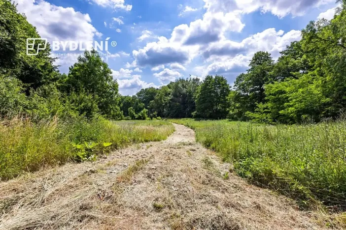 Prodej pozemku pro bydlení, Velemín, 5381 m2