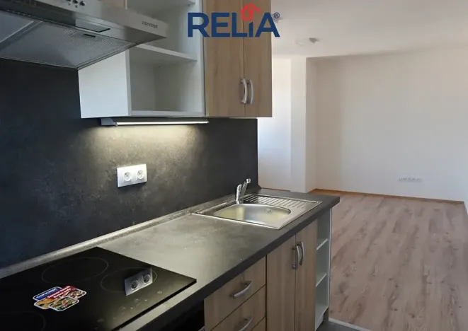 Pronájem bytu 2+kk, Liberec, Americká, 42 m2