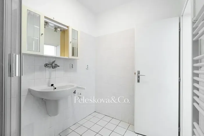 Prodej bytu 2+kk, Dolní Břežany, Za Sídlištěm, 58 m2