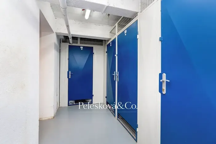 Prodej bytu 3+kk, Praha - Žižkov, Viklefova, 100 m2