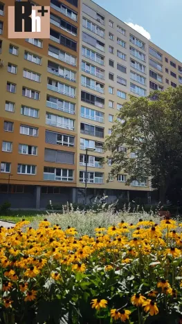 Prodej bytu 1+1, Ostrava, Nádražní, 33 m2