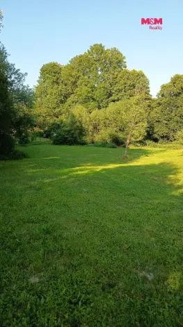 Prodej pozemku pro bydlení, Světlá Hora - Dětřichovice, 3506 m2