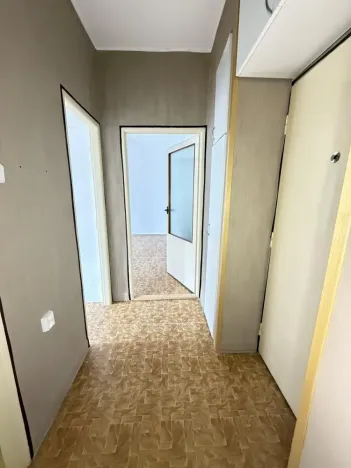 Prodej bytu 1+1, Brno - Lesná, Nejedlého, 38 m2