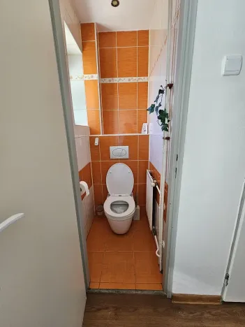 Pronájem rodinného domu, Velká Polom, Osvoboditelů, 300 m2