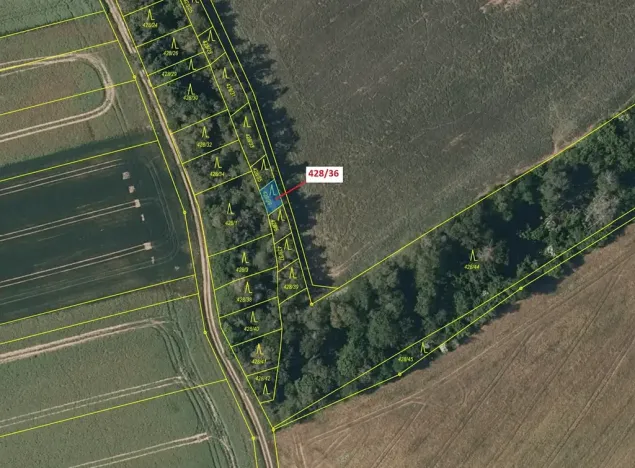 Dražba lesa, Břežany, 68 m2