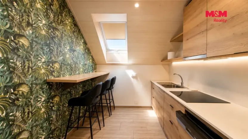 Prodej ubytování, Slavonice, Nádražní, 440 m2