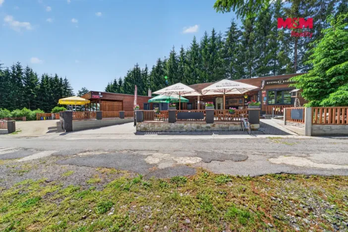 Prodej rodinného domu, Nová Bystřice - Albeř, 259 m2
