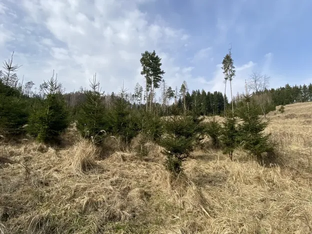 Prodej louky, Městečko Trnávka - Lázy, 1410 m2