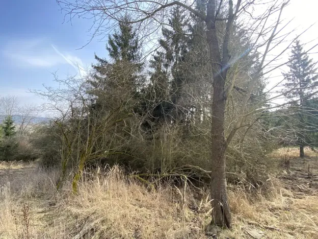 Prodej louky, Městečko Trnávka - Lázy, 1410 m2
