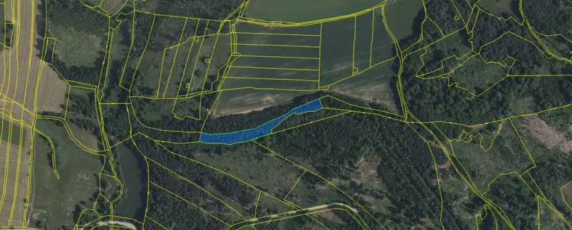 Prodej pozemku, Volfířov - Brandlín, 5958 m2