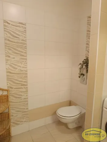 Pronájem bytu 1+kk, Napajedla, Nábřeží, 45 m2