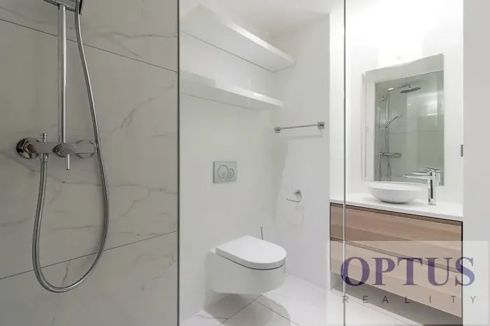 Pronájem bytu 6+kk a větší, Praha - Staré Město, Dušní, 380 m2