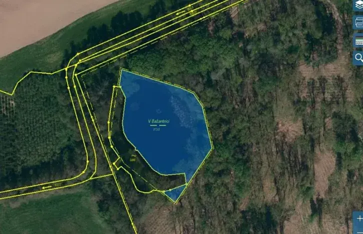 Pronájem rybníku, Třebíč, 4209 m2