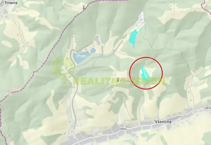 Prodej louky, Všemina, 13325 m2