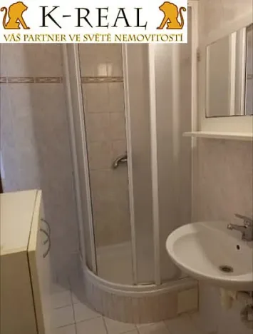 Pronájem bytu 1+1, Velká Bíteš, 40 m2